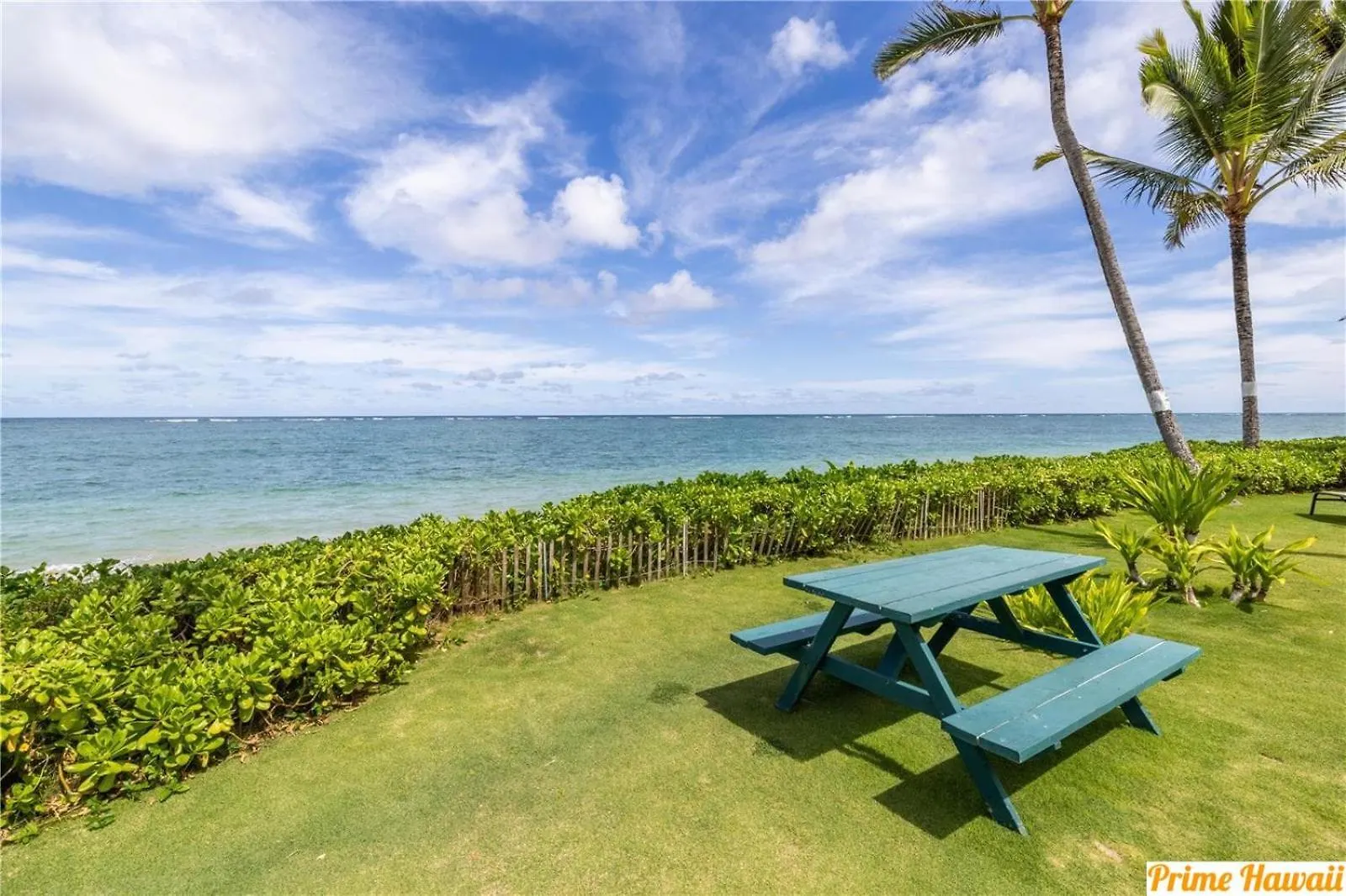 Amazing 7Th Floor Beachfront Condo Hauula 0*,